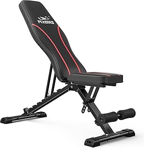 FLYBIRD WB2 Weight Bench, Utility Adjustable Weight Bench for Full Body Workout- Multi-Pur